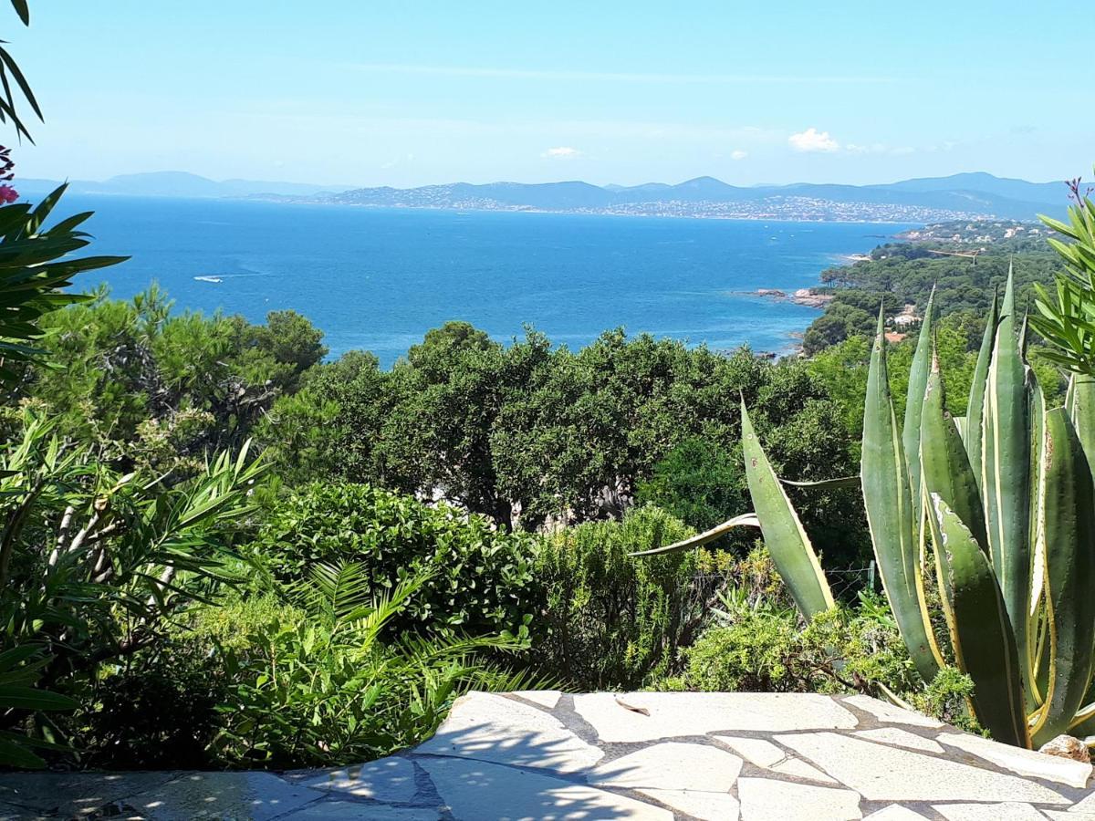 Duplex, Vue Panoramique Sur La Mediterranee, Piscine, Garage Saint-Raphaël エクステリア 写真