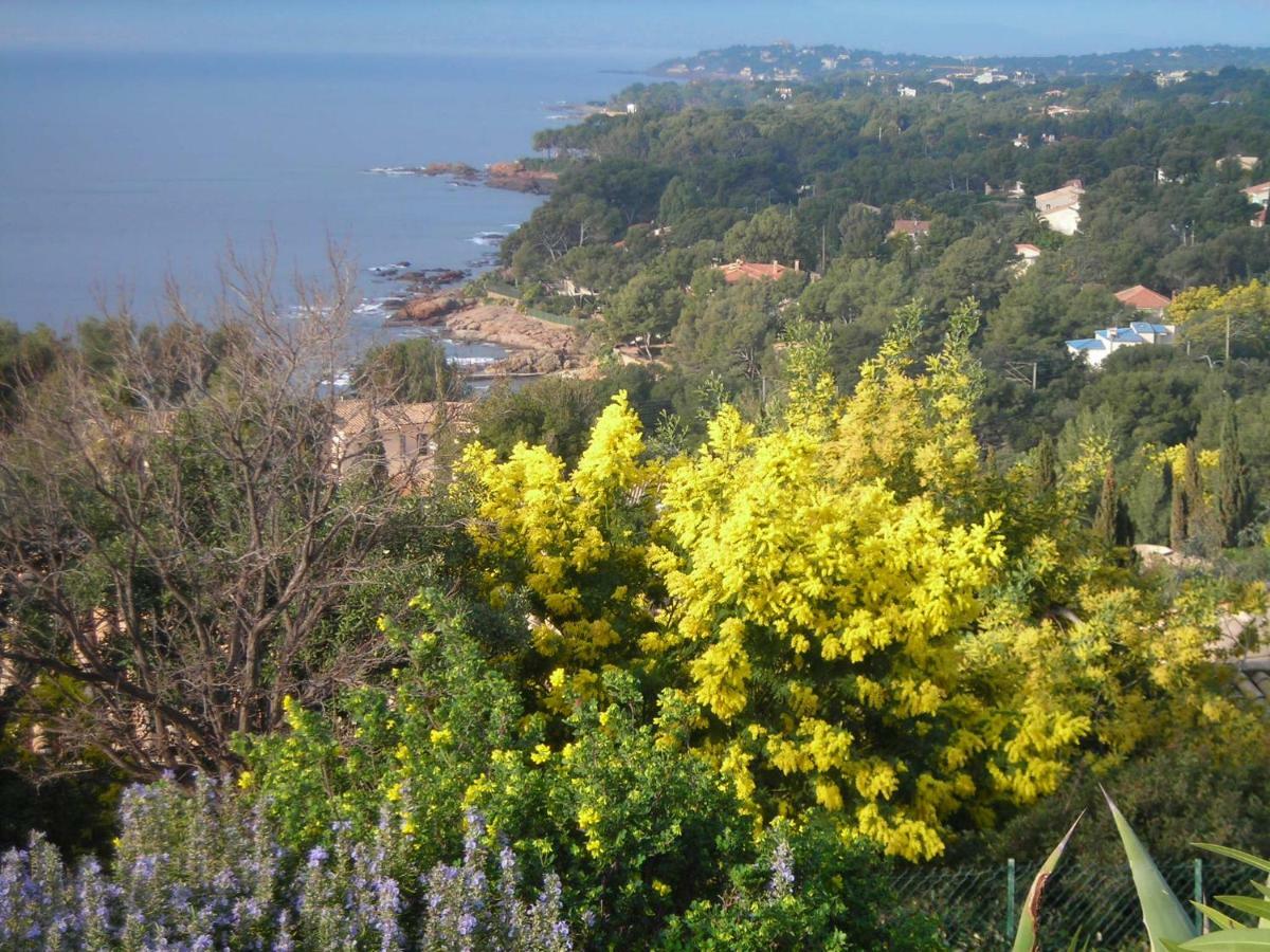 Duplex, Vue Panoramique Sur La Mediterranee, Piscine, Garage Saint-Raphaël エクステリア 写真